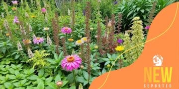 Creating a sustainable garden with native plants