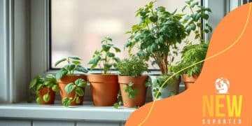 How to start a herb garden in your kitchen today