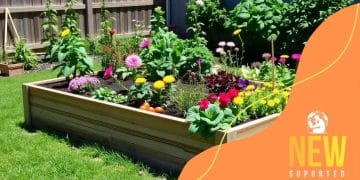 How to build your own raised garden beds effectively