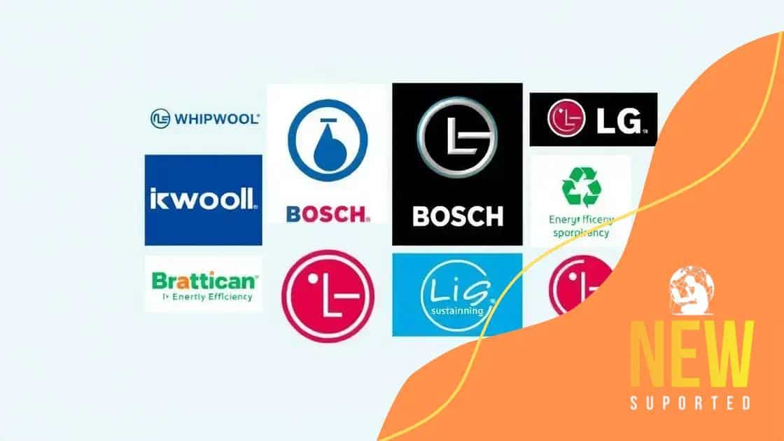 Top eco-friendly brands to consider