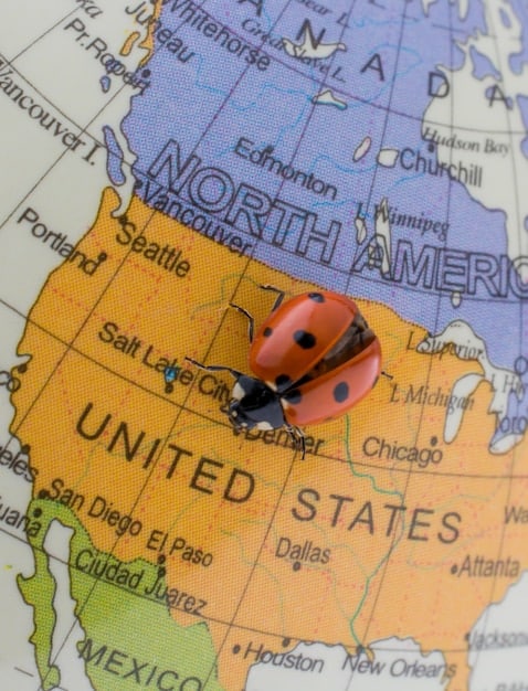 A close-up of a US passport with visa stamps from various countries surrounding it. The passport lies on top of a world map, highlighting areas where volunteer opportunities are common.