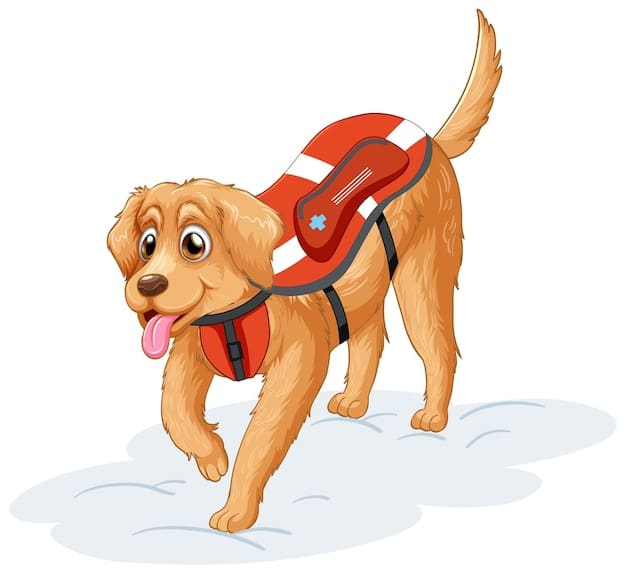 Pet Preparedness: Keeping Your Animals Safe During US Disasters