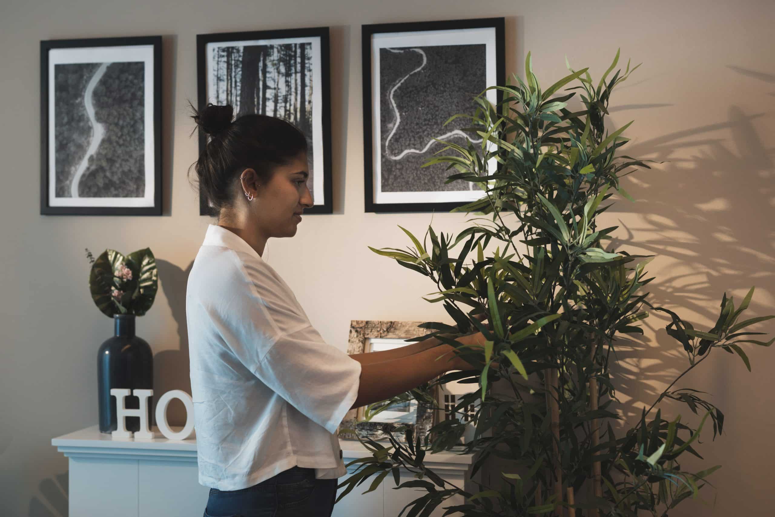 Biophilic design elements